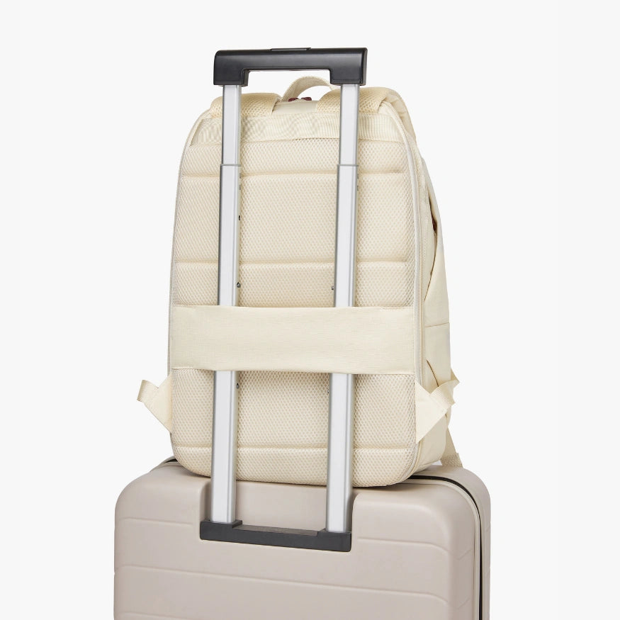 Large capacity bag